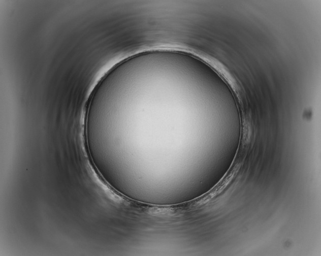 X0000100191006200806131203