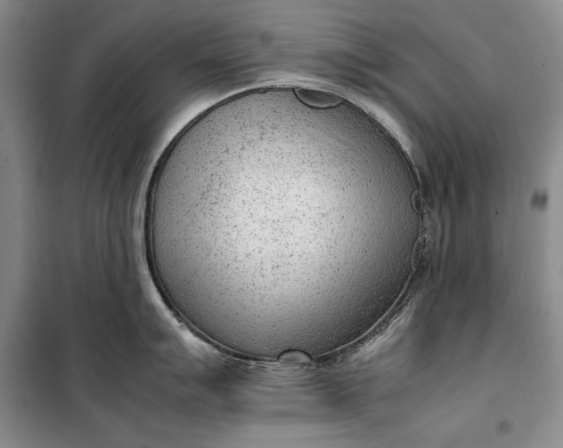 X0000100191007200806131203