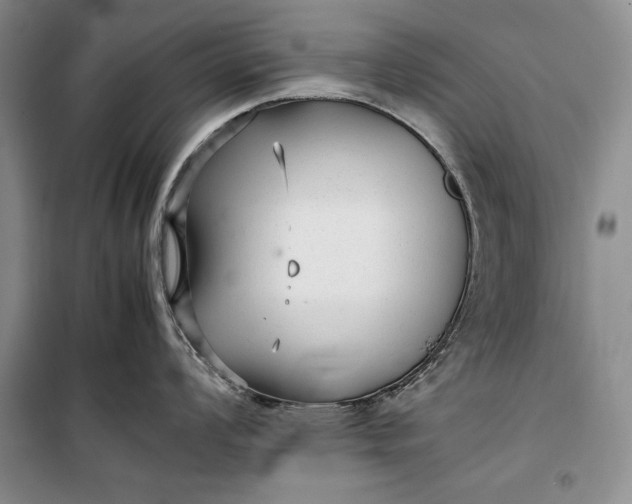 X0000100191008200806131203