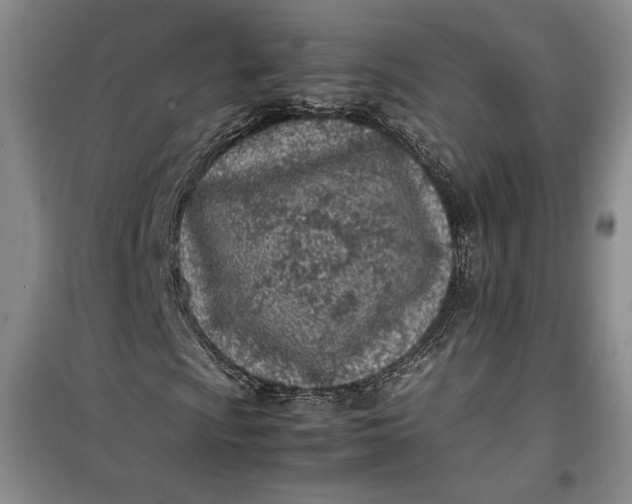 X0000100191009200806131203