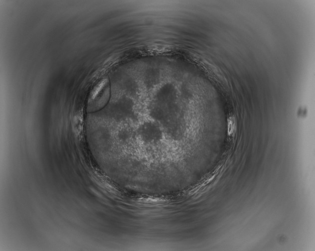 X0000100191011200806131203