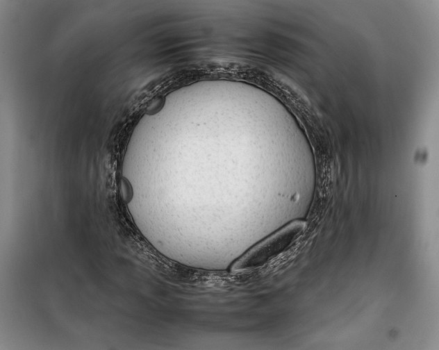 X0000100191013200806131203