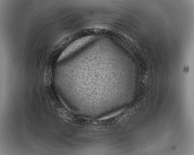 X0000100191014200806131203