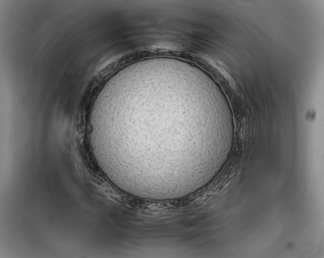 X0000100191015200806131203