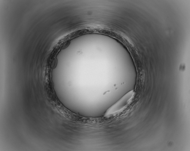 X0000100191016200806131203