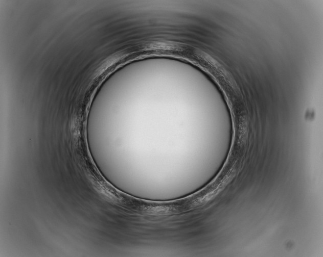 X0000100191017200806131203