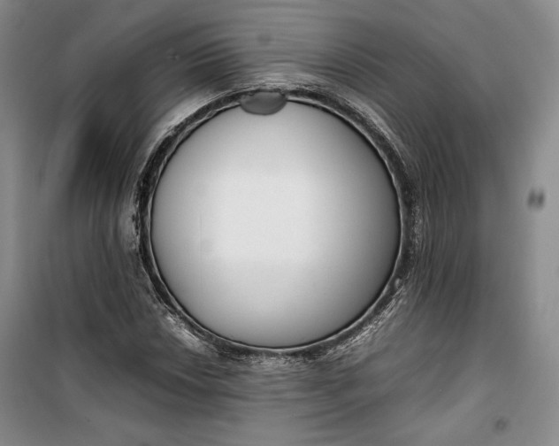 X0000100191018200806131203