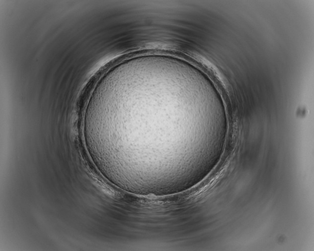 X0000100191019200806131203