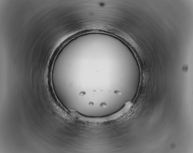 X0000100191020200806131203