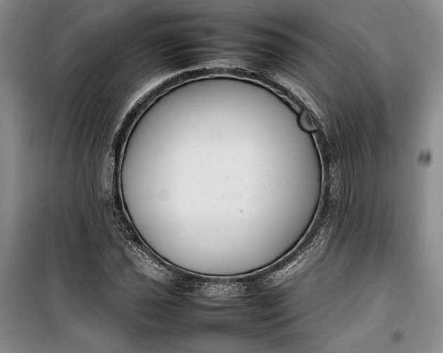 X0000100191021200806131203