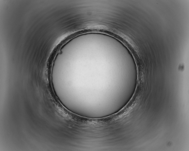 X0000100191022200806131203