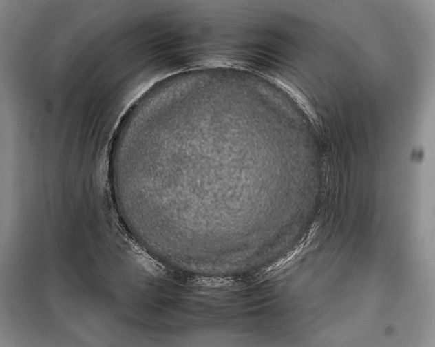 X0000100191023200806131203