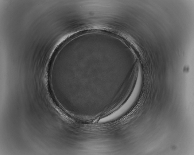 X0000100191024200806131203