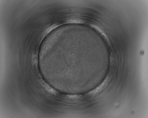 X0000100191025200806131203