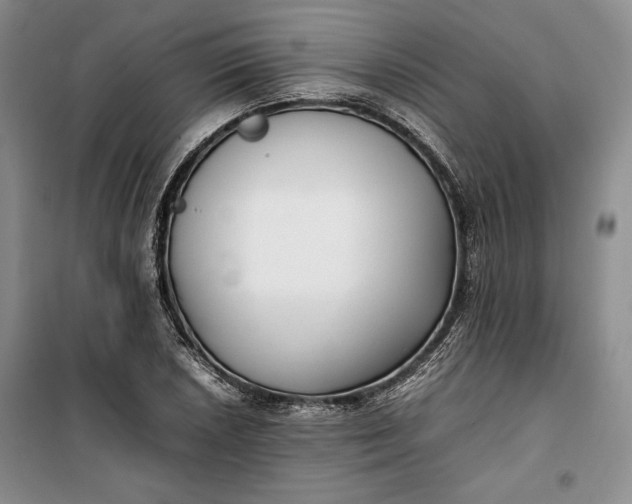 X0000100191026200806131203