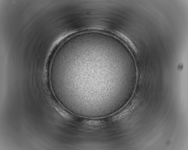 X0000100191027200806131203