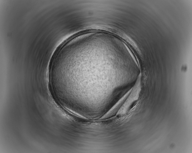 X0000100191028200806131203