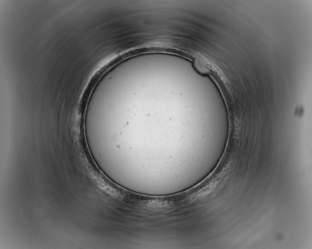 X0000100191029200806131203