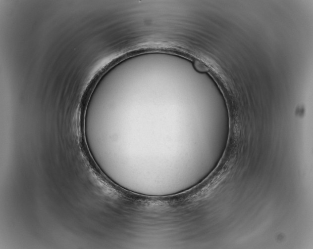 X0000100191030200806131203