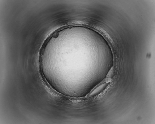 X0000100191031200806131203