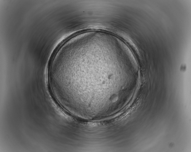 X0000100191032200806131203