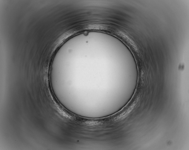 X0000100191033200806131203