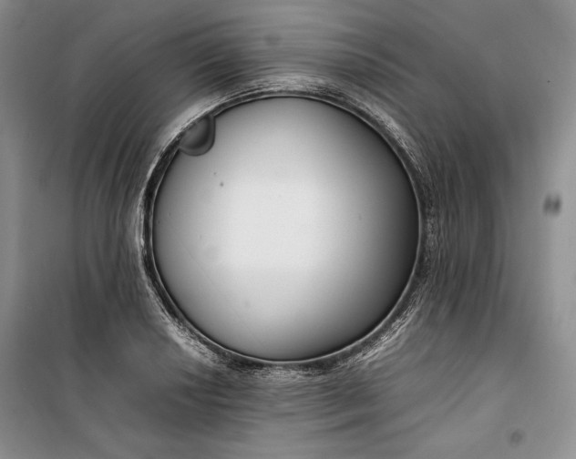 X0000100191034200806131203