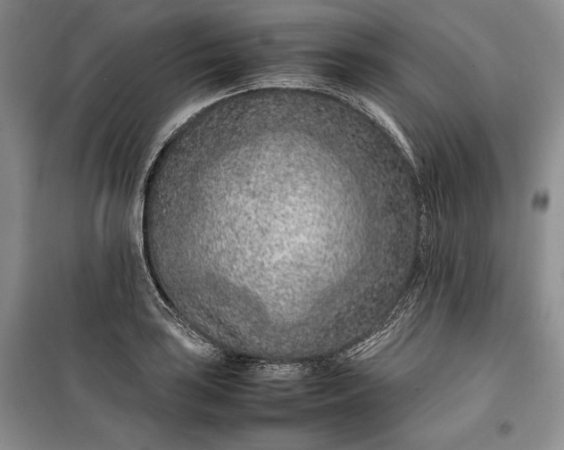 X0000100191035200806131203