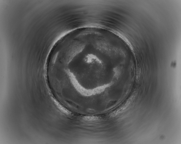 X0000100191037200806131203