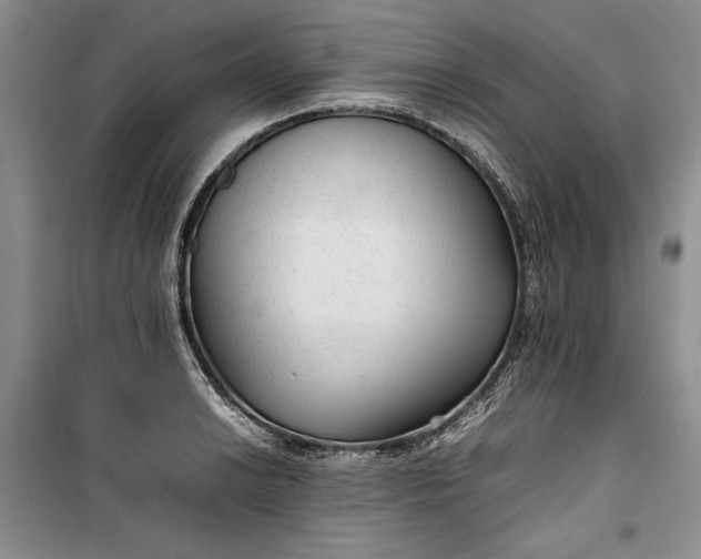 X0000100191038200806131203