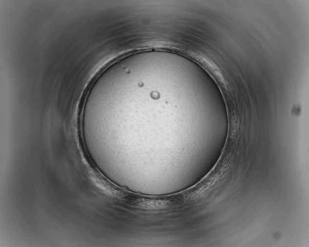 X0000100191039200806131203