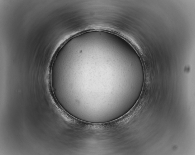 X0000100191040200806131203