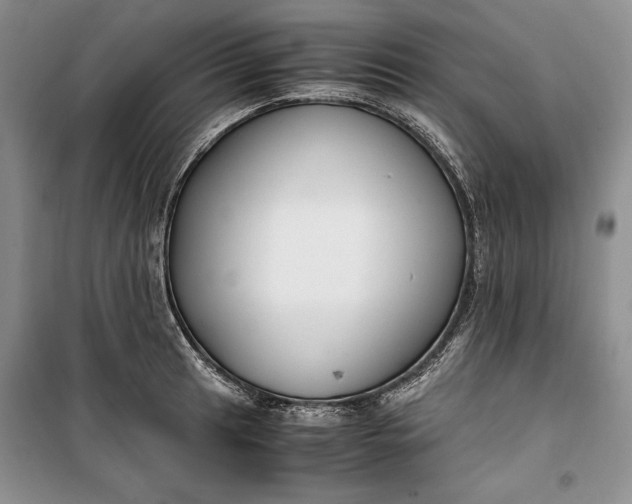 X0000100191041200806131203