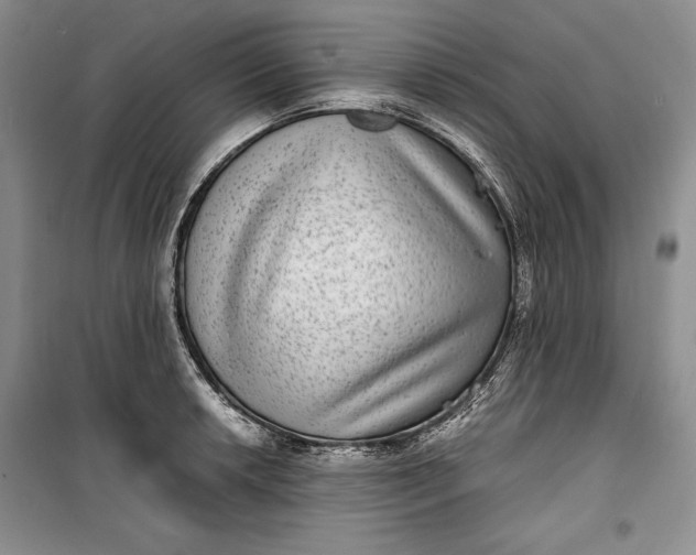 X0000100191042200806131203