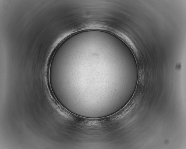 X0000100191043200806131203