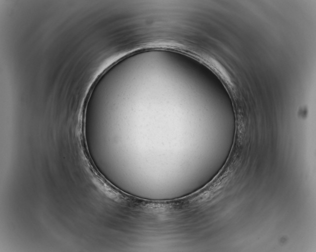 X0000100191044200806131203