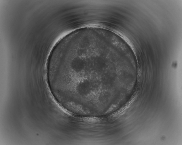 X0000100191045200806131203