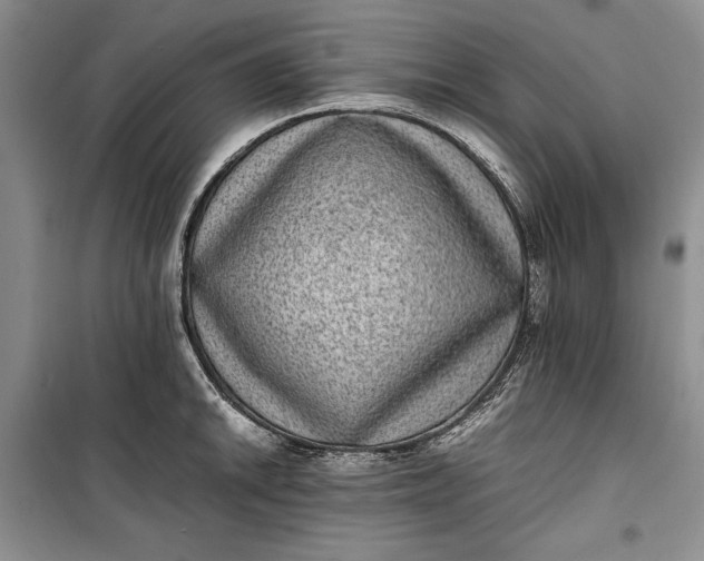 X0000100191046200806131203