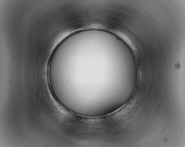 X0000100191047200806131203