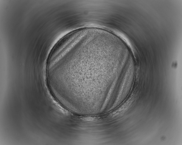 X0000100191048200806131203