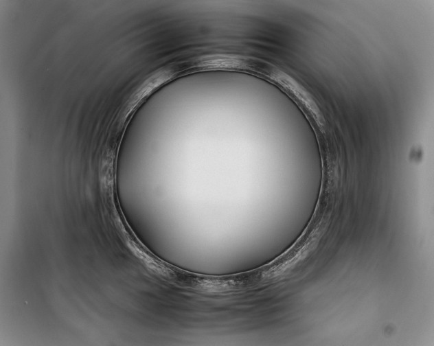 X0000100191049200806131203