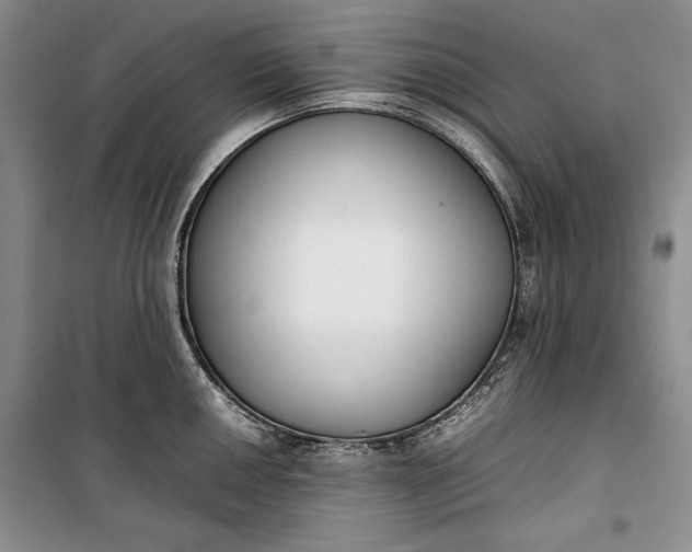 X0000100191050200806131203