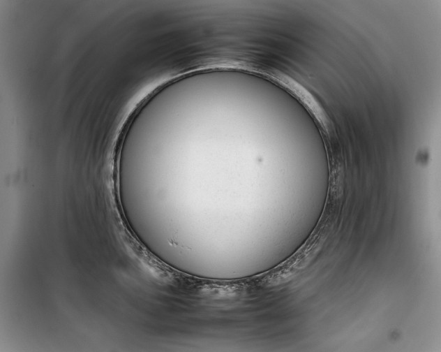 X0000100191051200806131203