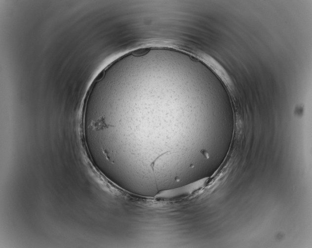 X0000100191052200806131203