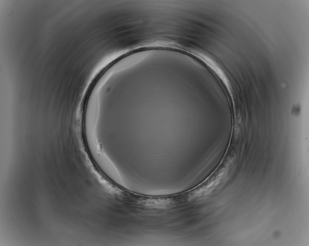 X0000100191053200806131203