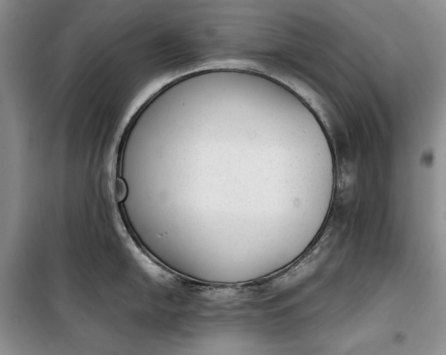 X0000100191054200806131203