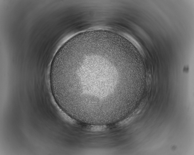 X0000100191055200806131203