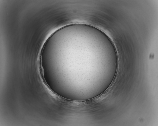 X0000100191056200806131203