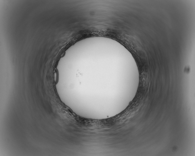 X0000100191057200806131203