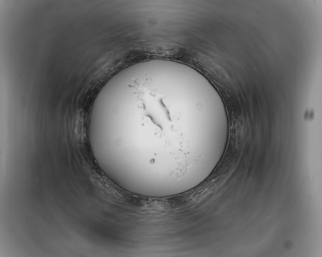 X0000100191058200806131203